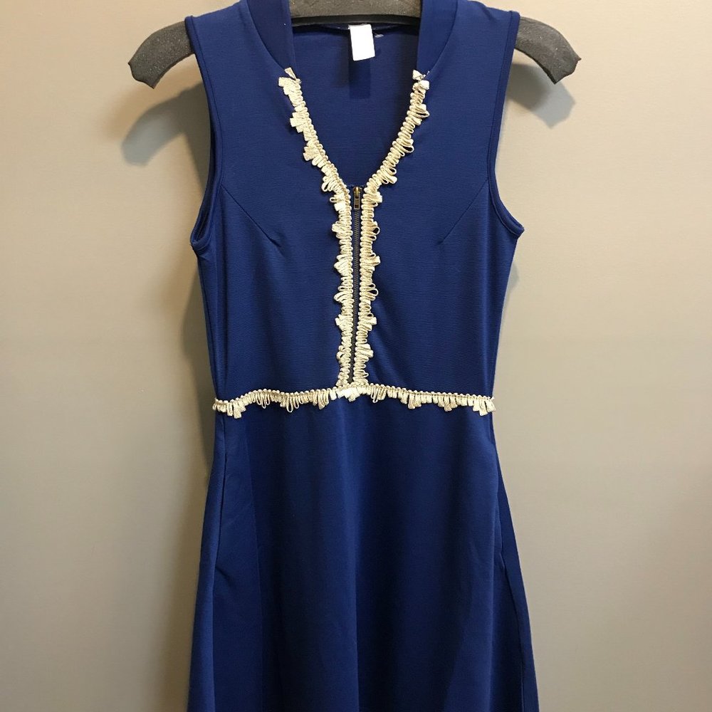 Blue Vfish dress
